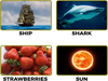 Snapshot Ship Shark Strawberries Sun Image